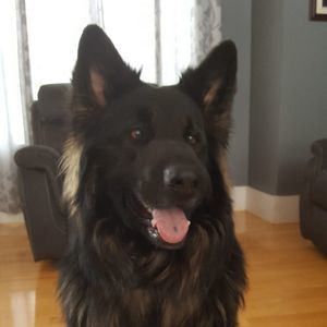 Meet your Posher, Annick